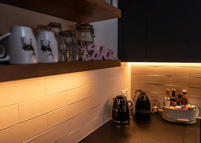 Dachwohnung Balma Appartement