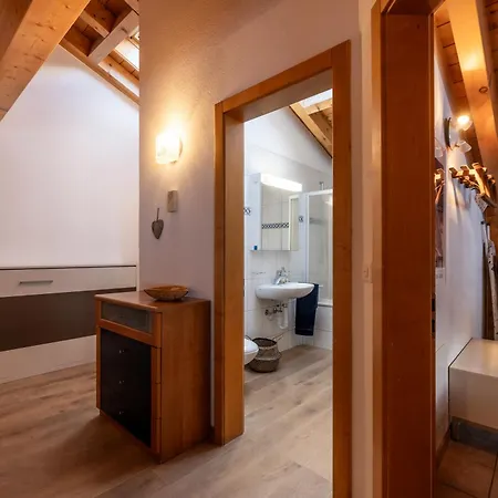 Dachwohnung Balma-great Overview Of Lägenhet *
